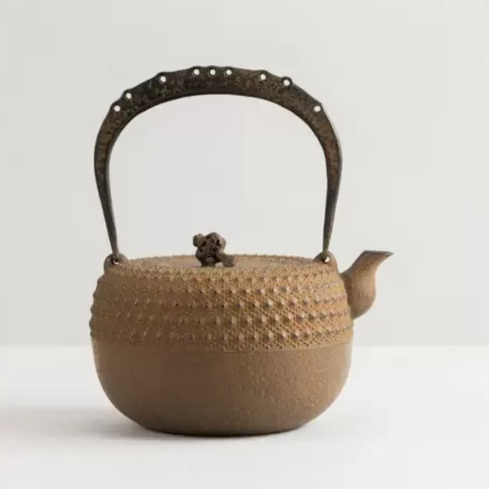 MIYA Company Teapots - Cast Iron^Iwachu Kettle Tetsubin Gravel Turtleshell Brown