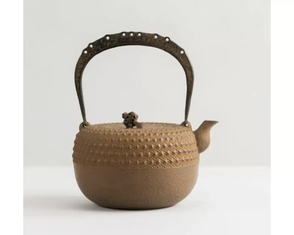 MIYA Company Teapots - Cast Iron^Iwachu Kettle Tetsubin Gravel Turtleshell Brown